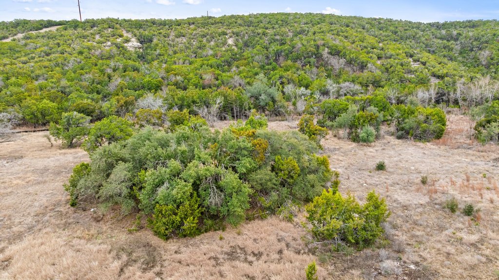 5408 Spring Preserve Trail Bee Cave, TX 78738 - Photo 20 of 40 a view of a big yard with lots of bushes