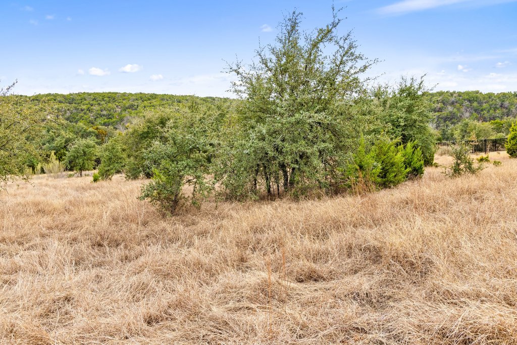 5408 Spring Preserve Trail Bee Cave, TX 78738 - Photo 25 of 40 a view of a yard with an trees