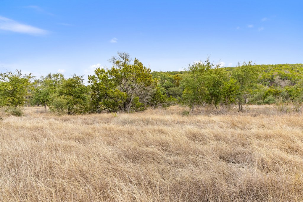 5408 Spring Preserve Trail Bee Cave, TX 78738 - Photo 26 of 40 a view of a yard with a tree