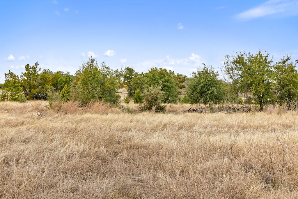 5408 Spring Preserve Trail Bee Cave, TX 78738 - Photo 27 of 40 a view of a yard with a tree