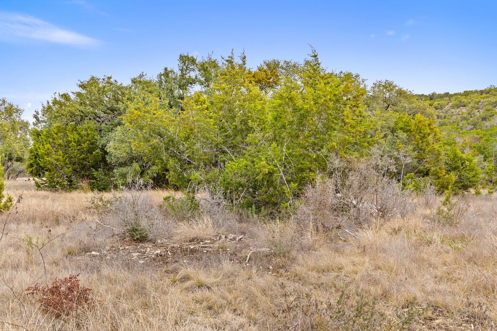 5408 Spring Preserve Trail Bee Cave, TX 78738 - Photo 28 of 40 a view of a yard with a tree
