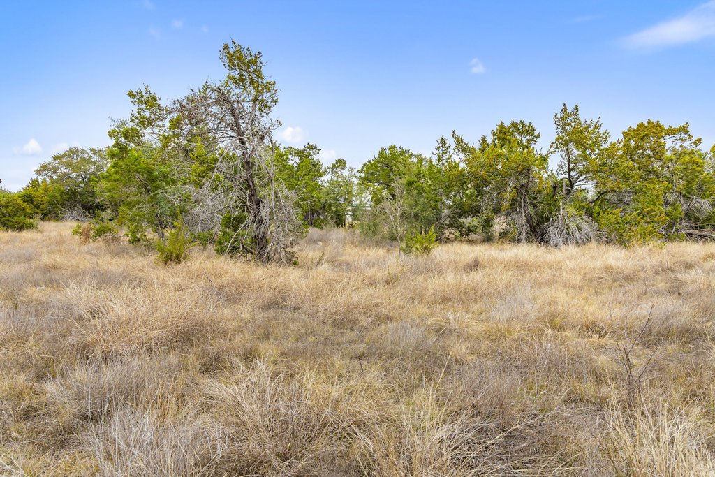 5408 Spring Preserve Trail Bee Cave, TX 78738 - Photo 31 of 40 a view of a dry yard with trees in the background