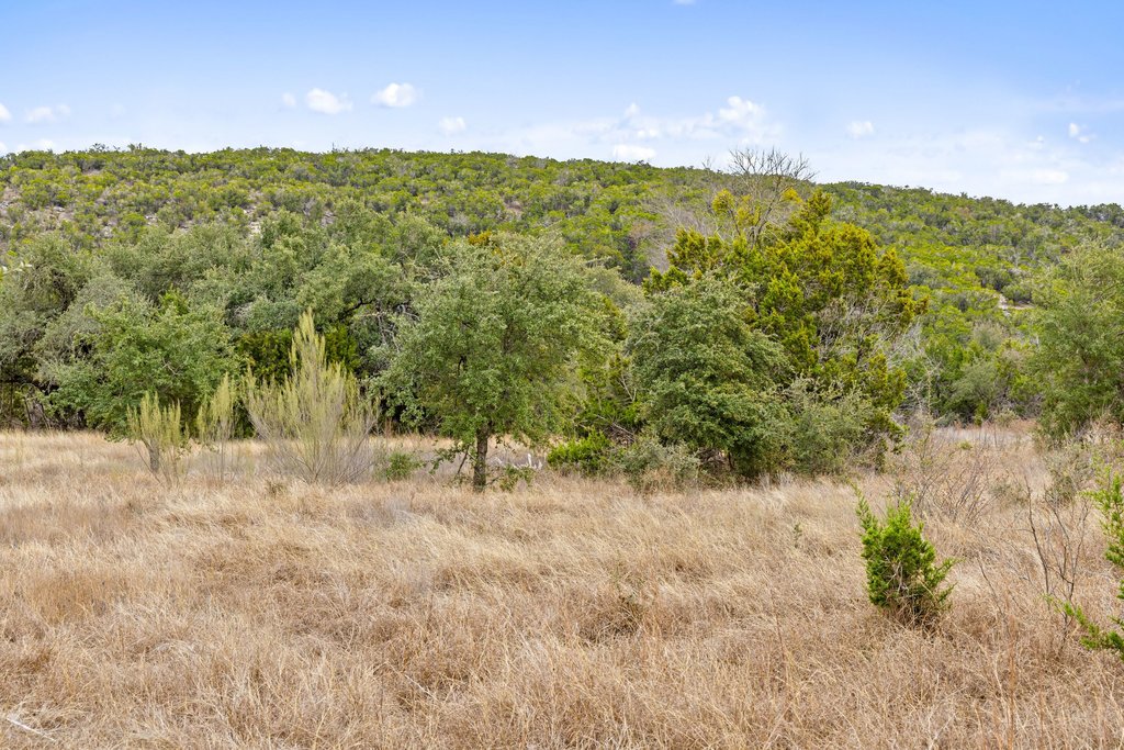 5408 Spring Preserve Trail Bee Cave, TX 78738 - Photo 36 of 40 a view of a yard with a tree