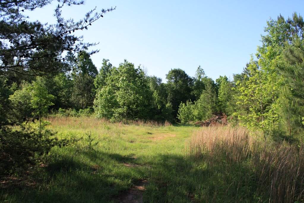 127 Brothers Road Liberty, SC 29657 - Photo 8 of 14 Gallery Image 8