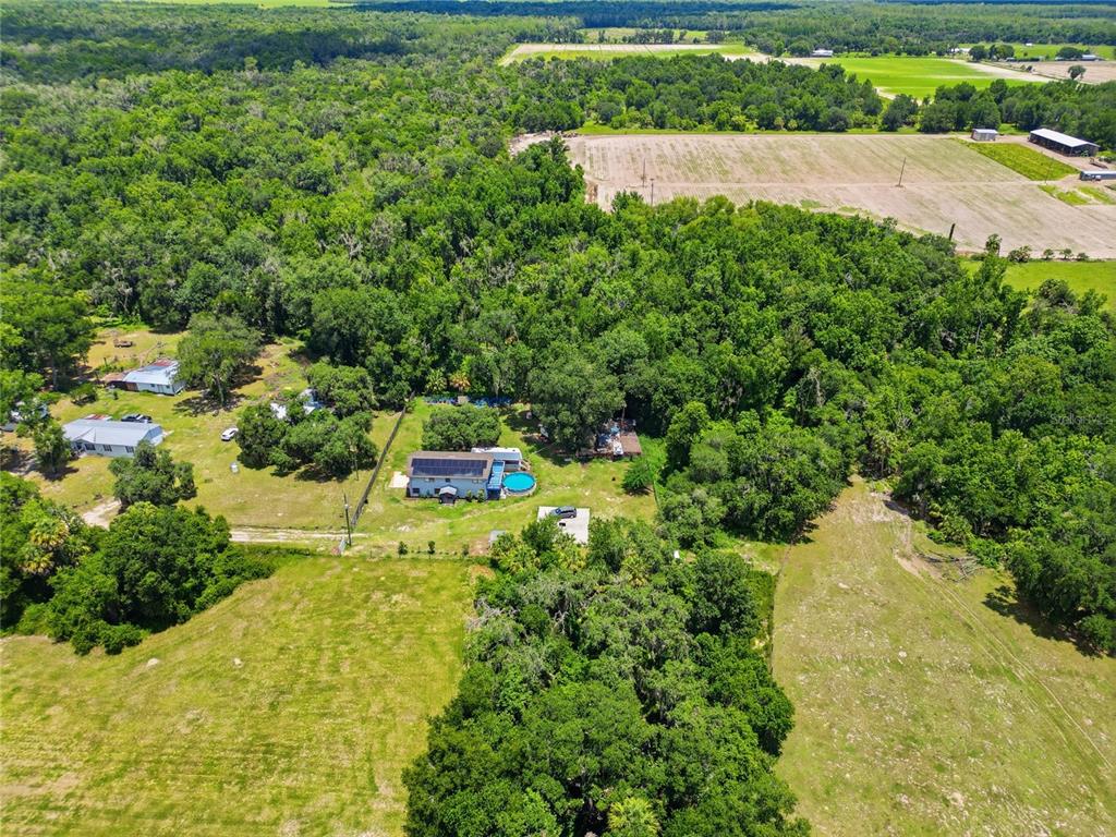 3126 Toole Road Lithia, FL 33547 - Photo 54 of 66