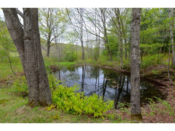 75 Stearns Road Wilmot, NH 03287 - Photo 14 of 20 Gallery Image 14