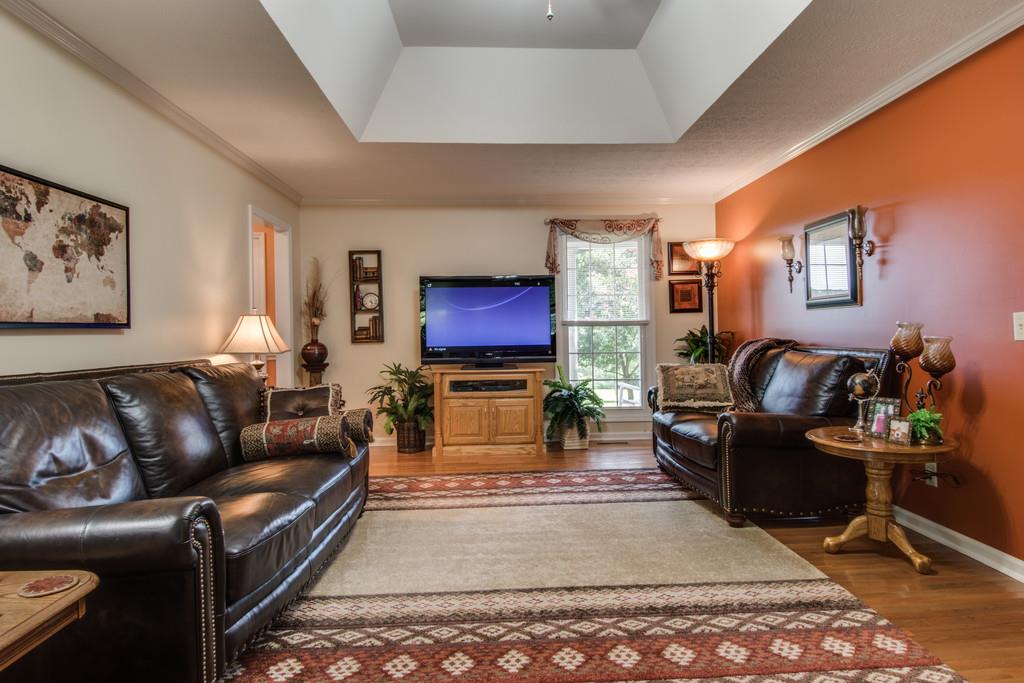 4850 Mt Zion Road Springfield, TN 37172 - Photo 3 of 28 a living room with furniture a rug and a flat screen tv