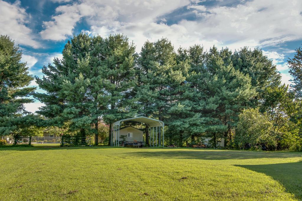 4850 Mt Zion Road Springfield, TN 37172 - Photo 22 of 28 a front view of a house with a yard and trees