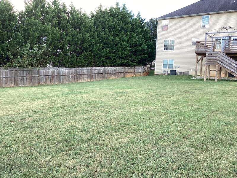 485 Brunswick Circle Stockbridge, GA 30281 - Photo 30 of 31 a backyard of a house with lots of green space
