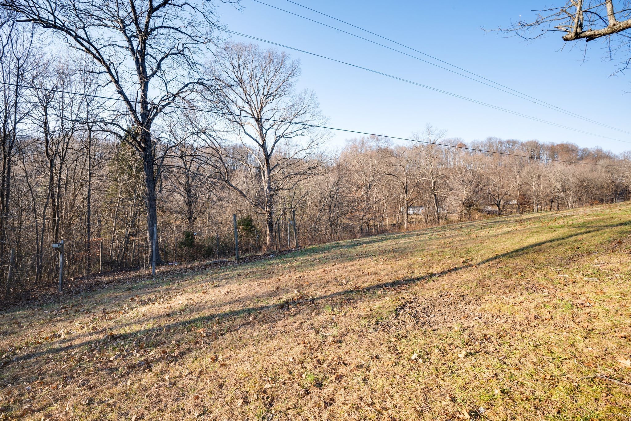 818 Rogues Fork Road Bethpage, TN 37022 - Photo 28 of 30