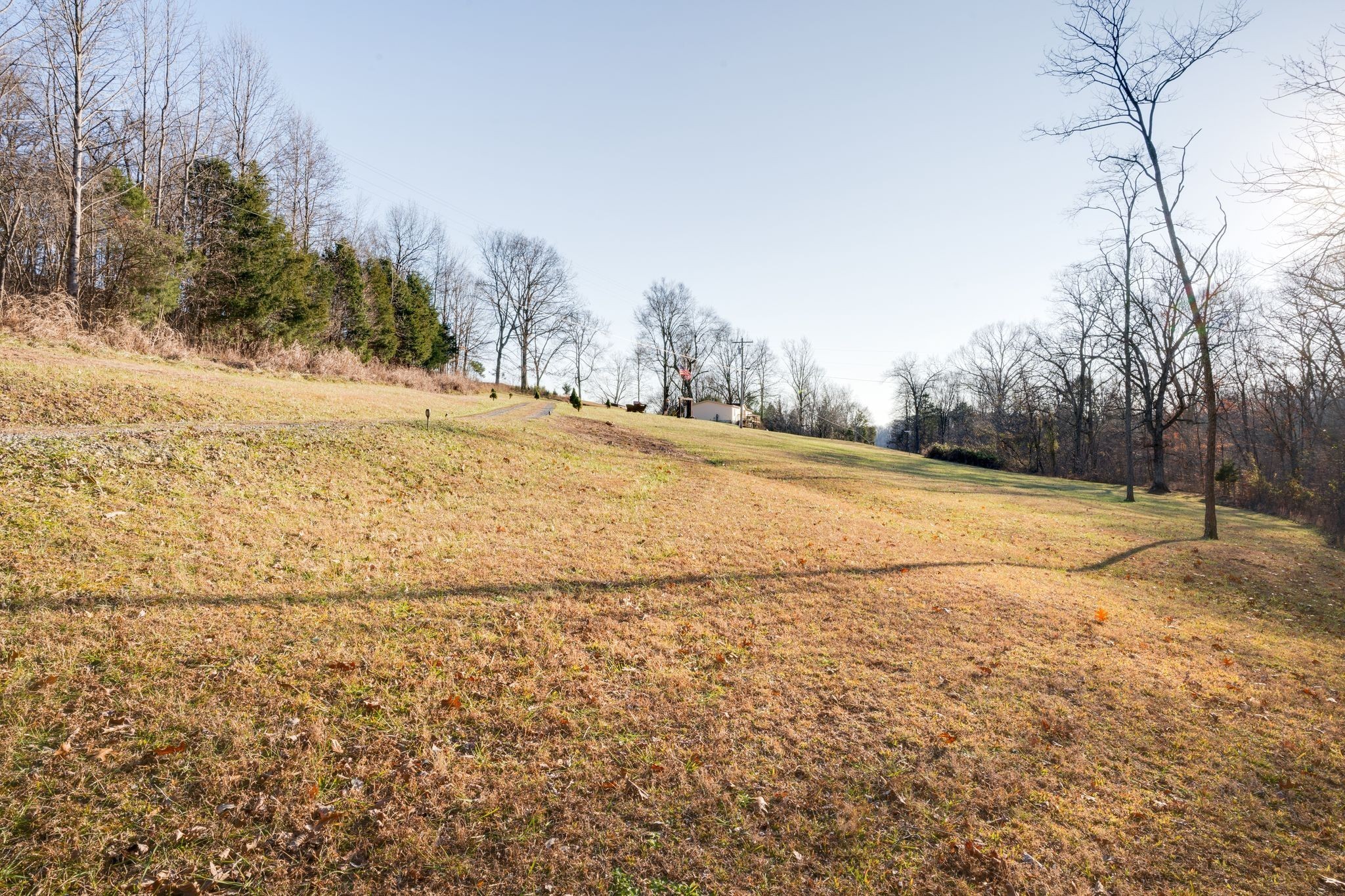 818 Rogues Fork Road Bethpage, TN 37022 - Photo 3 of 30