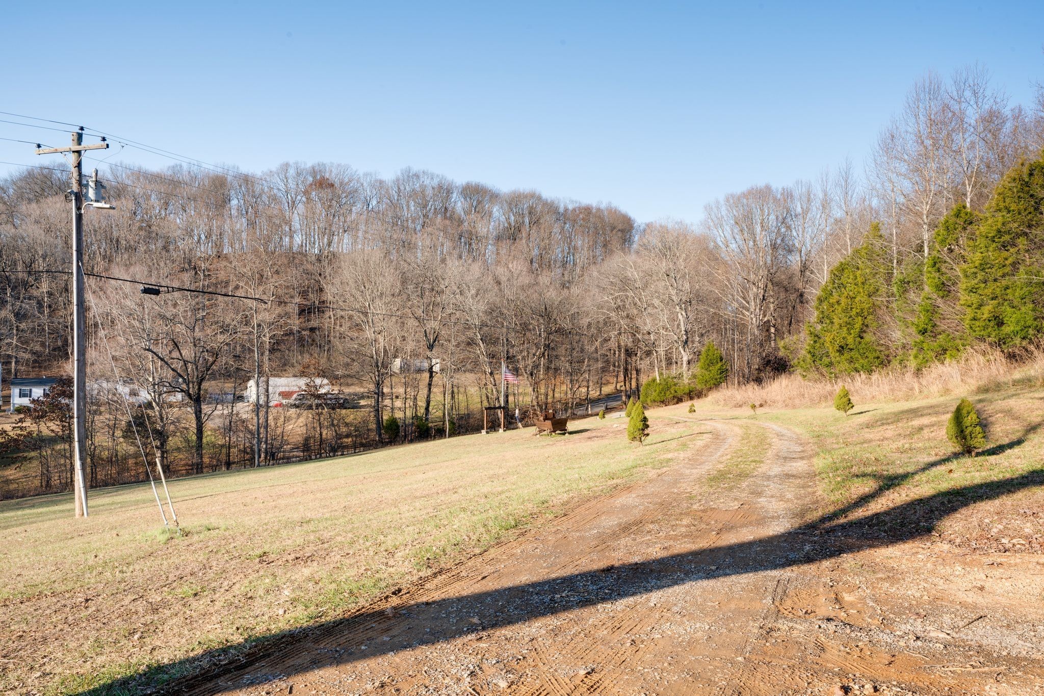 818 Rogues Fork Road Bethpage, TN 37022 - Photo 4 of 30