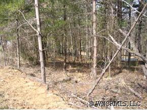 29 Solomon's Cove Road, Unit 29 Flat Rock, NC 28731 - Photo 3 of 3 Gallery Image 3