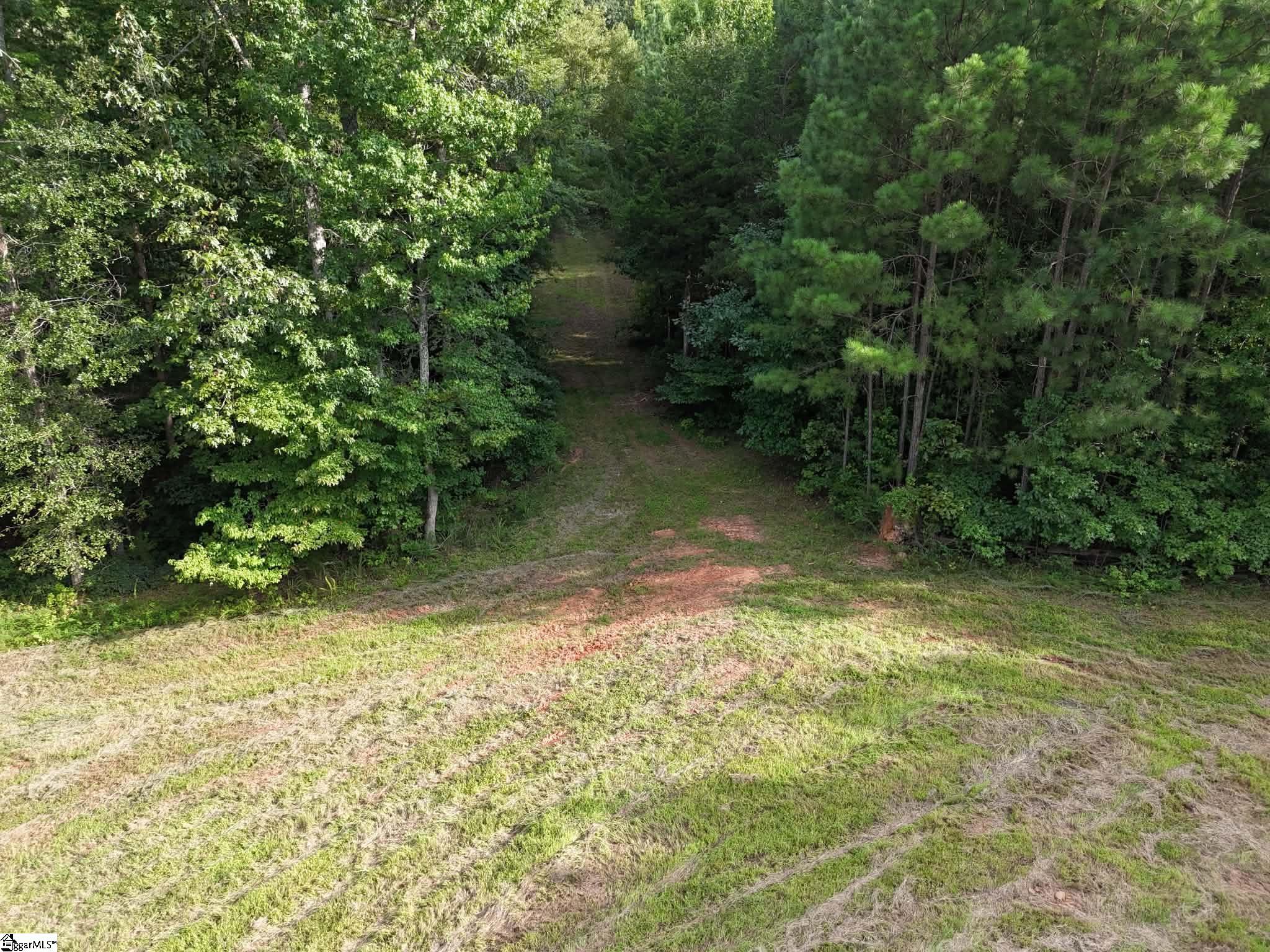 335 Old Ferry Rd Union Union, SC 29379 - Photo 13 of 18 Gallery Image 13