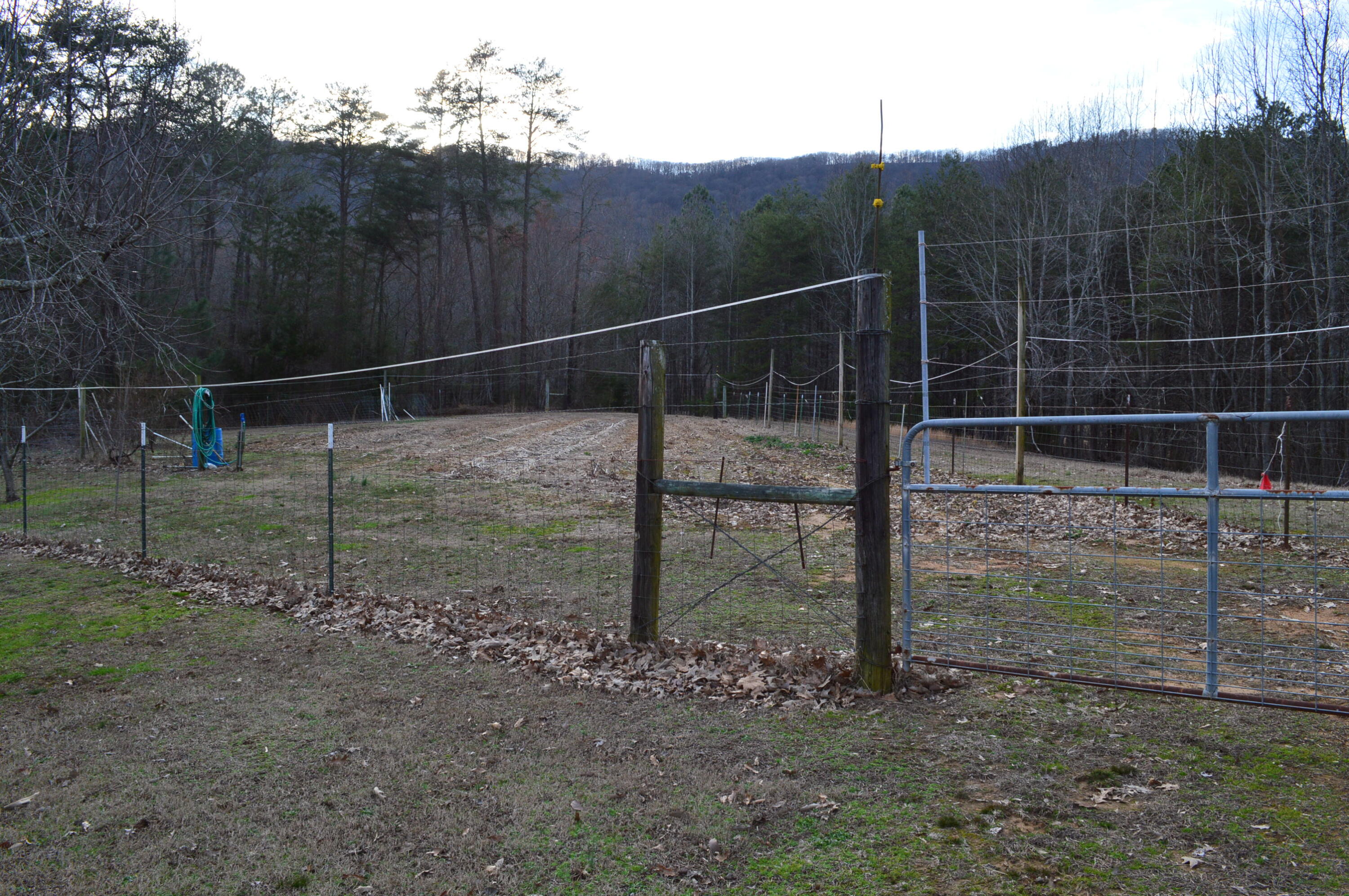 1098 Fricks Gap Road Chickamauga, GA 30707 - Photo 14 of 28 DSC_0308