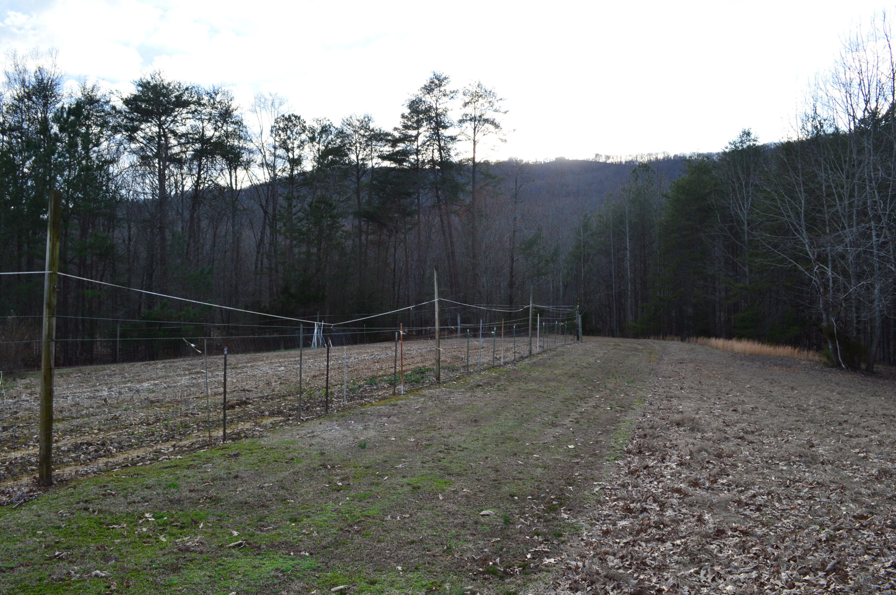 1098 Fricks Gap Road Chickamauga, GA 30707 - Photo 15 of 28 DSC_0310