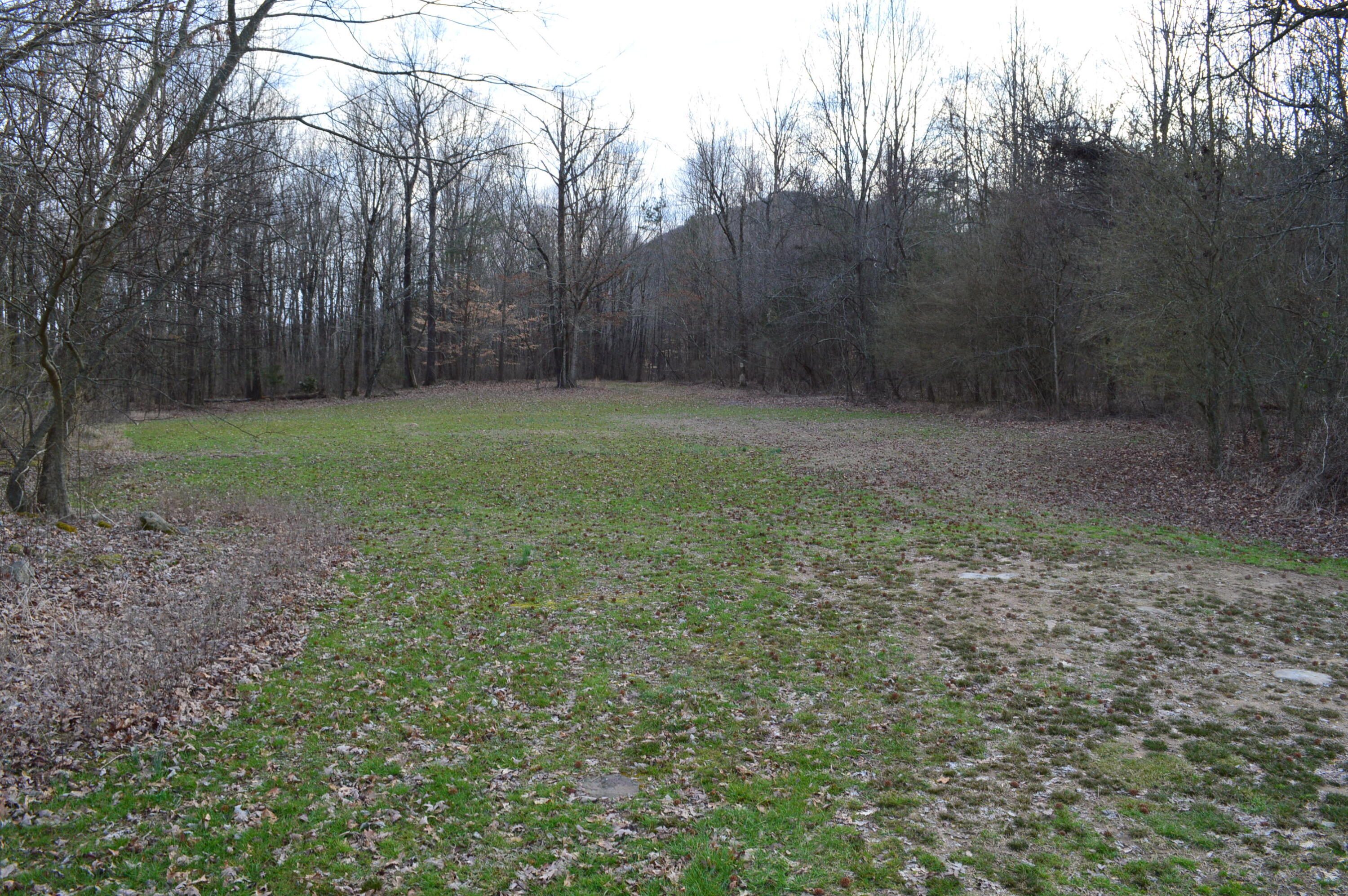 1098 Fricks Gap Road Chickamauga, GA 30707 - Photo 27 of 28 DSC_0322