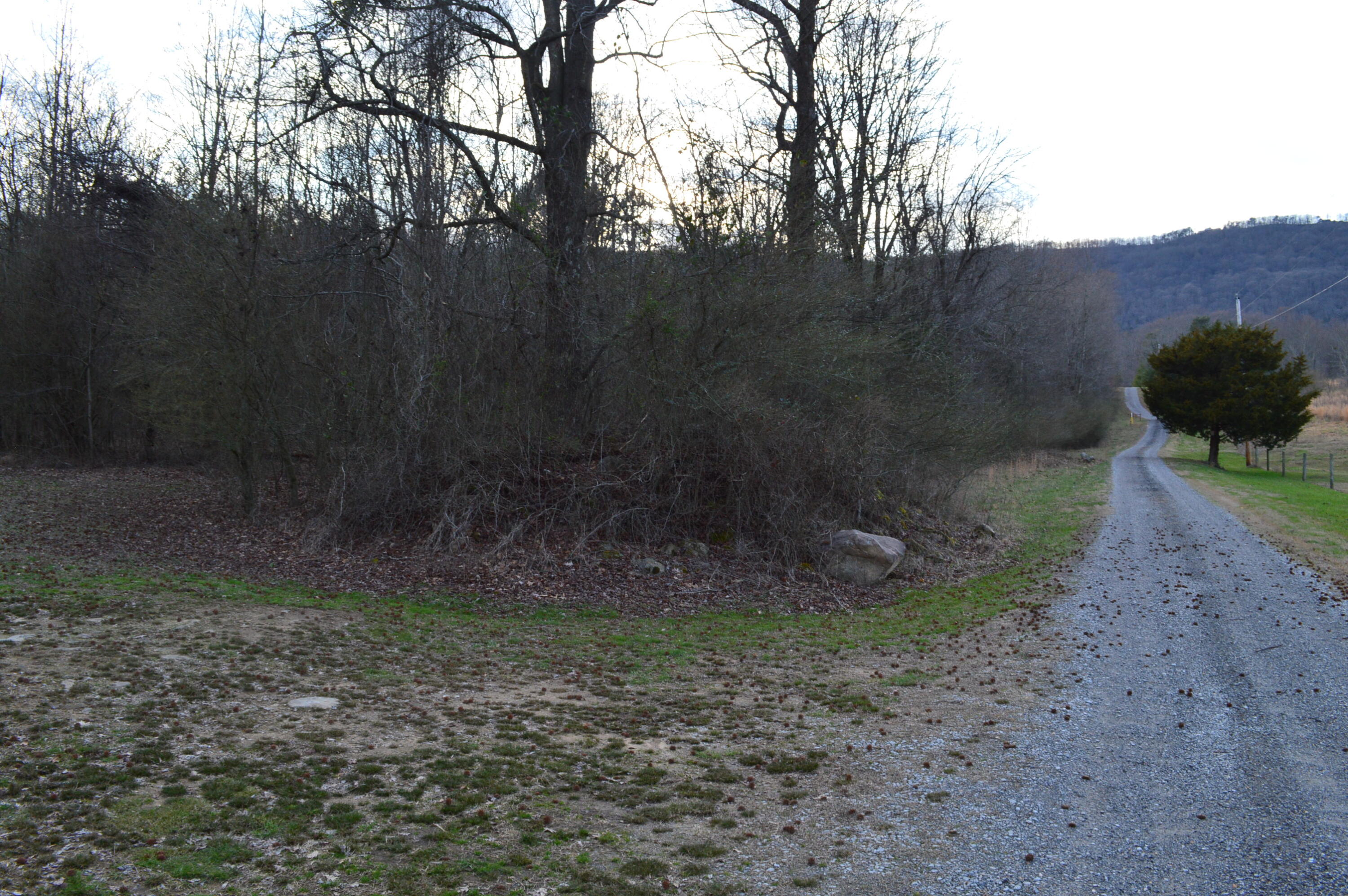1098 Fricks Gap Road Chickamauga, GA 30707 - Photo 28 of 28 DSC_0323