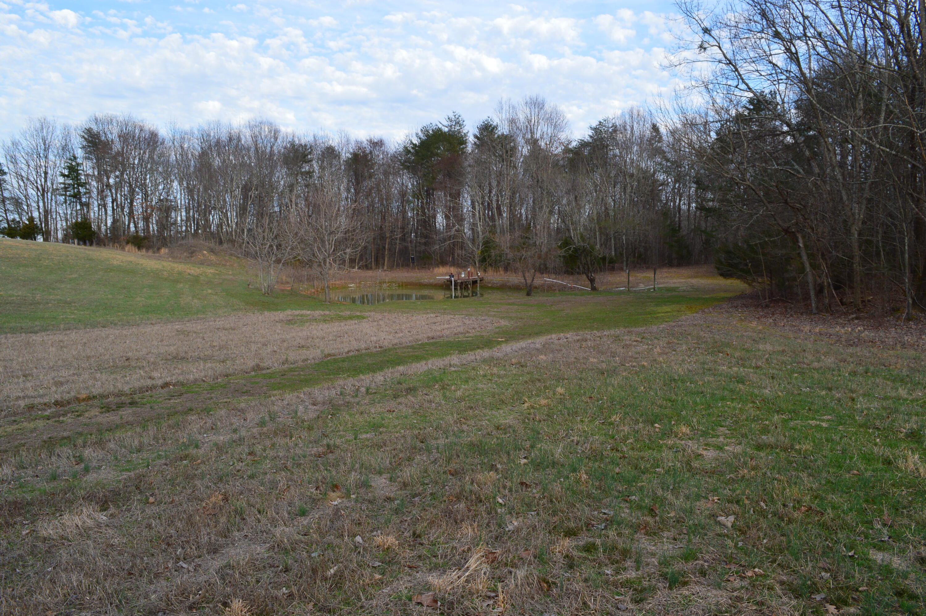 1098 Fricks Gap Road Chickamauga, GA 30707 - Photo 10 of 28 DSC_0306