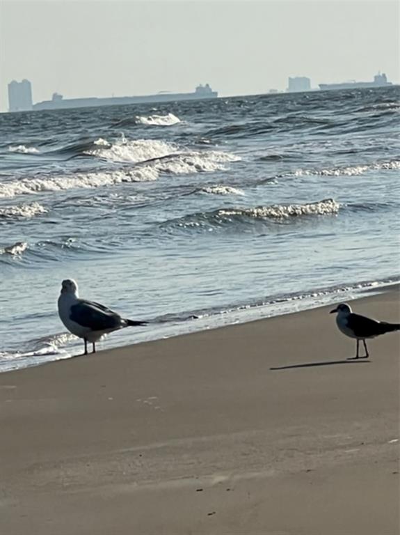 3420 Sanderling Dr Prt  