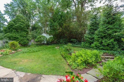 a view of a garden with plants and large trees