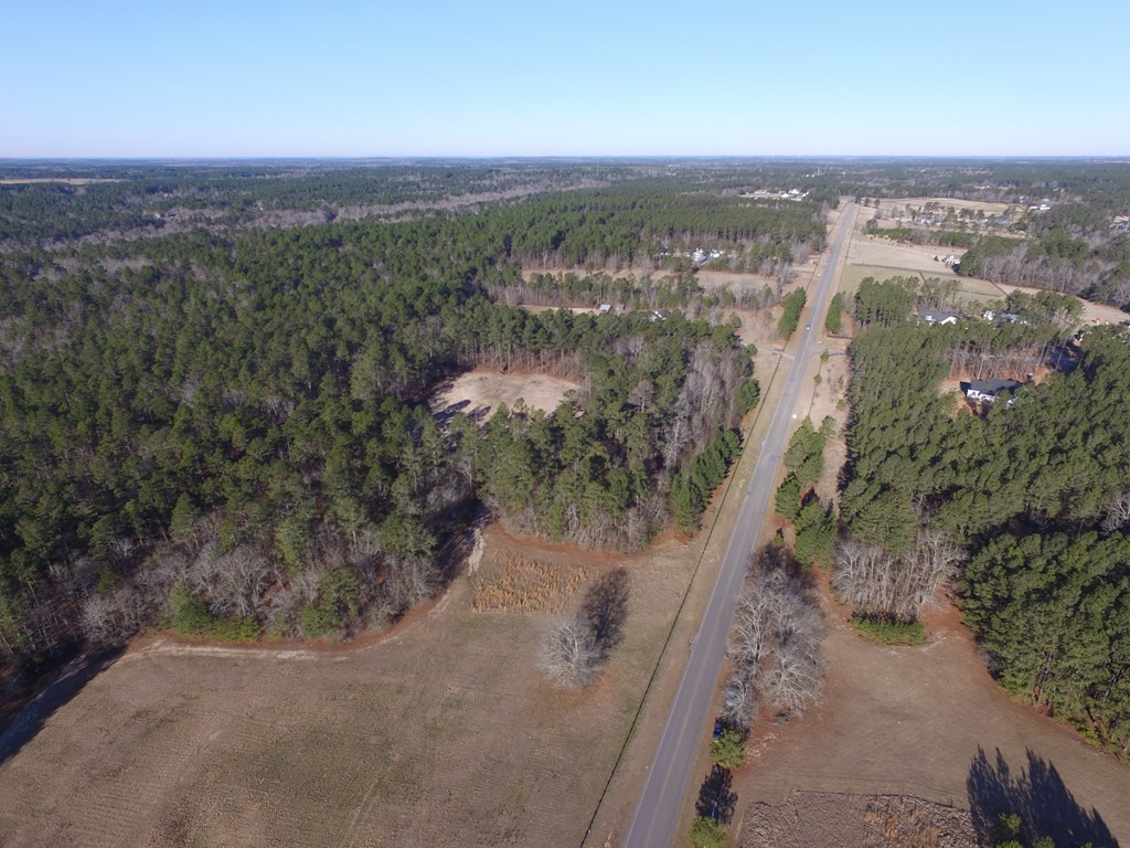 Lot 25-26 Anderson Pond Road Johnston, SC 29832 - Photo 6 of 11