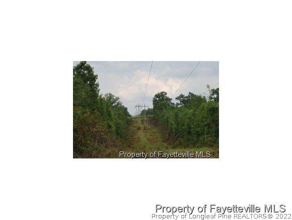 Wilburn Road Fuquay-Varina, NC 27526 - Photo 4 of 12 Gallery Image 4