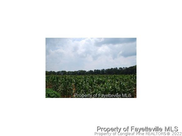 Wilburn Road Fuquay-Varina, NC 27526 - Photo 5 of 12 Gallery Image 5