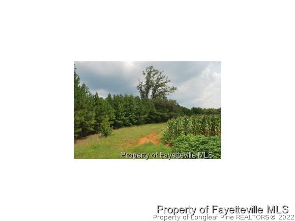 Wilburn Road Fuquay-Varina, NC 27526 - Photo 6 of 12 Gallery Image 6