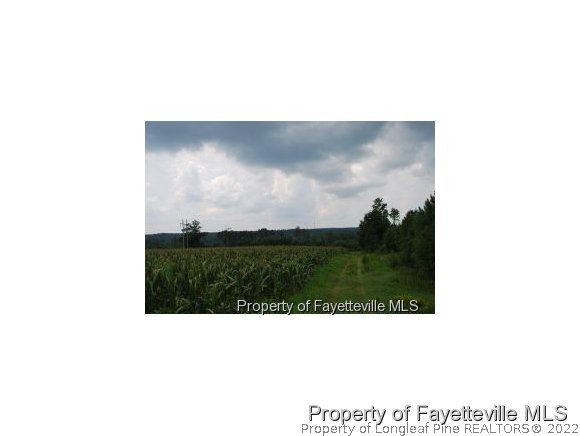 Wilburn Road Fuquay-Varina, NC 27526 - Photo 7 of 12 Gallery Image 7
