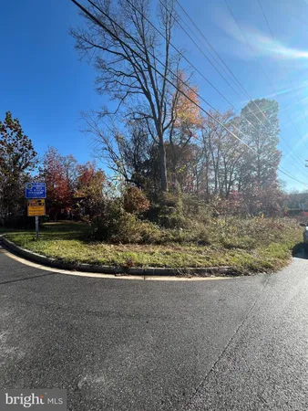 a view of a yard with large trees