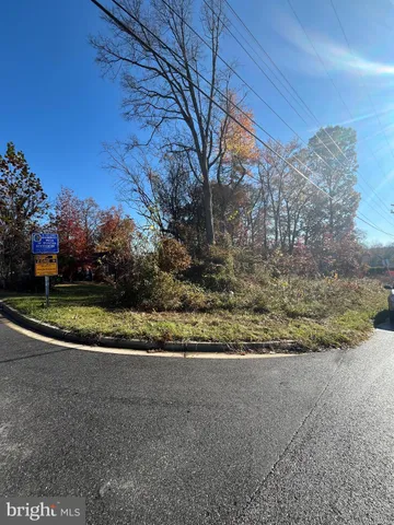 a view of a yard with large trees