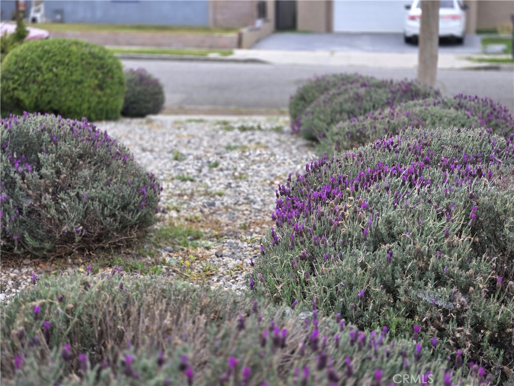 2149 Clover Street Simi Valley, CA 93065 - Photo 17 of 47