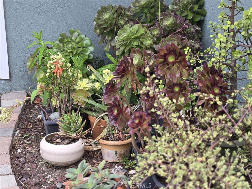 2149 Clover Street Simi Valley, CA 93065 - Photo 10 of 47