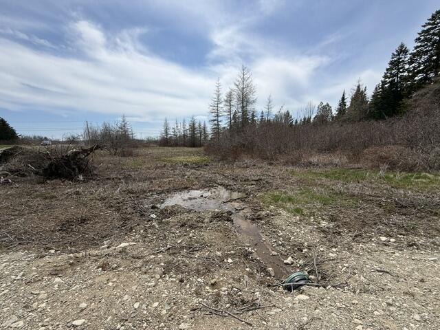 Lot 1 Holmes Bay Farms Road Whiting, ME 04691 - Photo 6 of 15