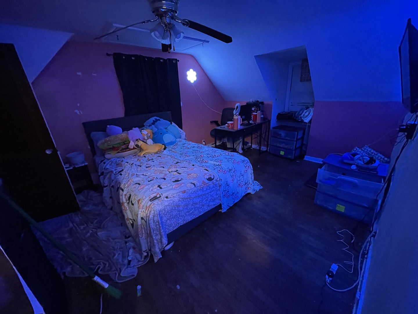 821 North 8th Street Rochelle, IL 61068 - Photo 21 of 50 Gallery Image 21