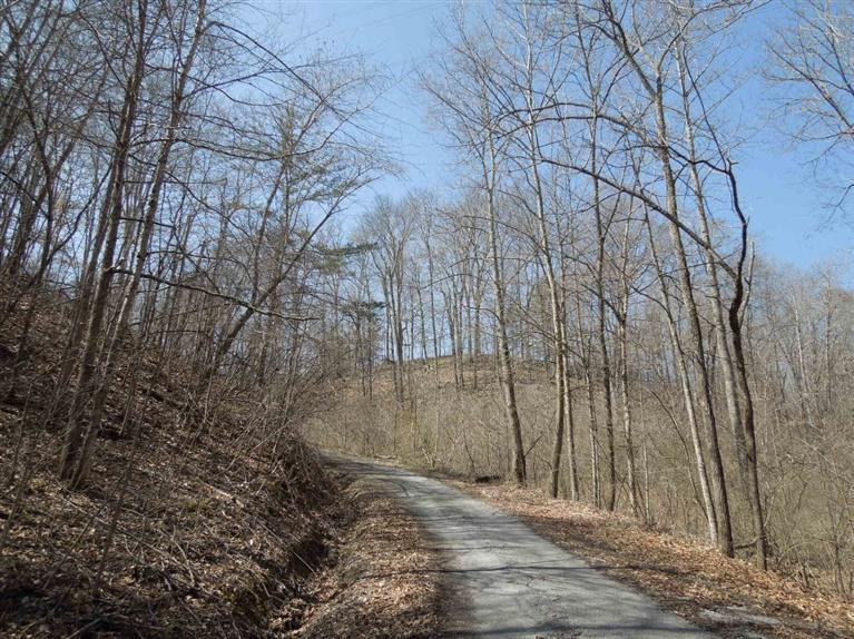 373 Rector Road Waynesburg, KY 40489 - Photo 9 of 44 Photo 9