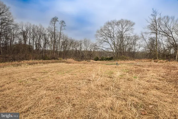 a view of open space with yard