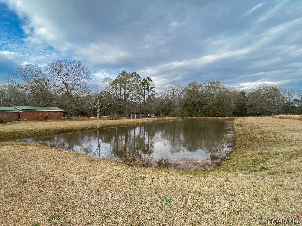 644 Russell Road Samson, AL 36477 - Photo 42 of 51 Gallery Image 42