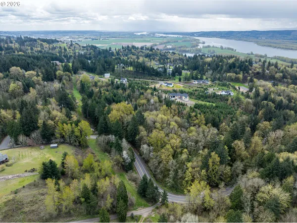 an aerial view of forest