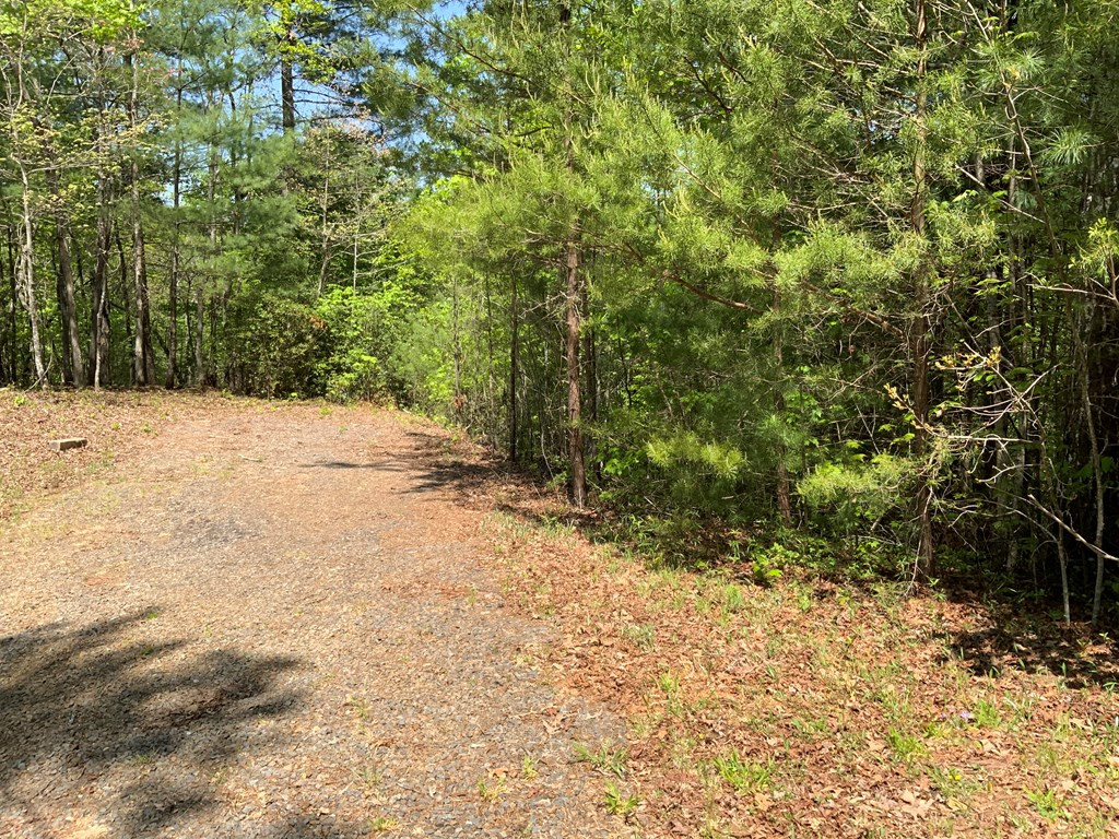 Lot 22 Ridgewood Drive Murphy, NC 28906 - Photo 3 of 21 Gallery Image 3