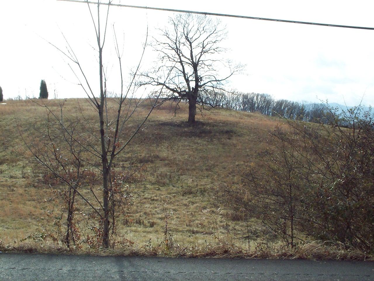 0 West Allens Bridge Road, Unit 1 & 2 Greeneville, TN 37743 - Photo 12 of 12 12