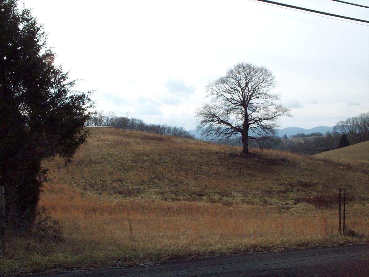 0 West Allens Bridge Road, Unit 1 & 2 Greeneville, TN 37743 - Photo 10 of 12 10