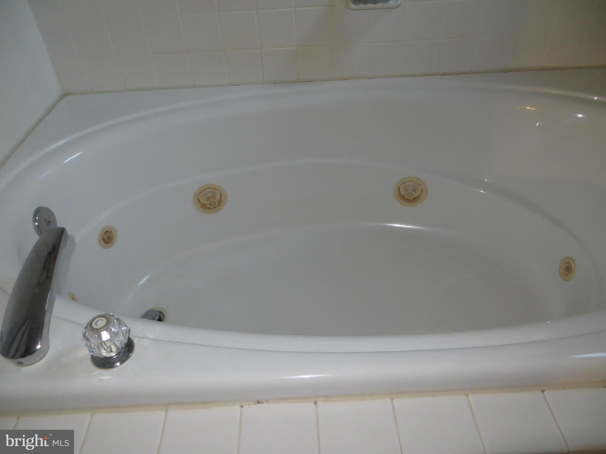 101 Kirk Road Elkton, MD 21921 - Photo 18 of 30 MASTER BATH HAS WHIRLPOOL
