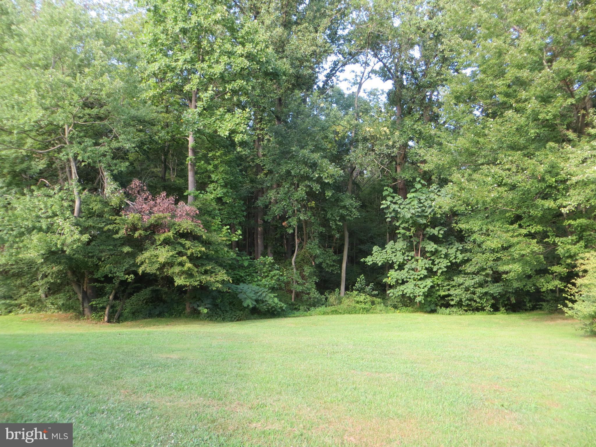 101 Kirk Road Elkton, MD 21921 - Photo 30 of 30 TREED YARD