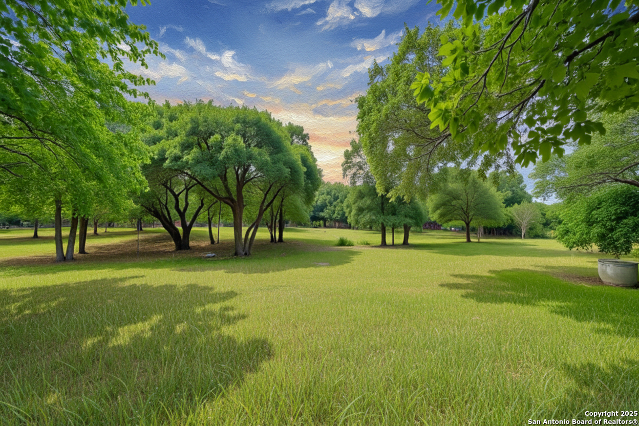 519 Long Meadow Spring Branch, TX 78070 - Photo 32 of 34