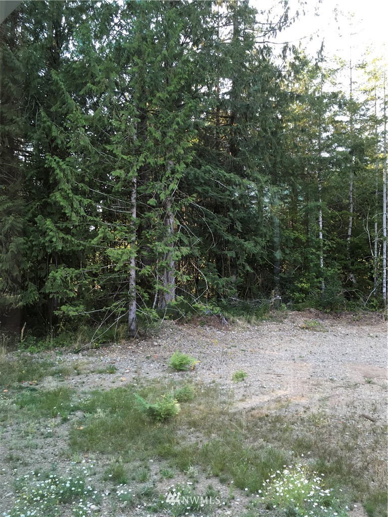 9 Foreman Road McCleary, WA 98557 - Photo 16 of 23 Gallery Image 16