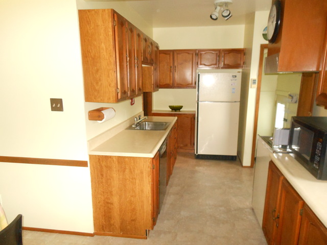 2151 Maple Road Homewood, IL 60430 - Photo 12 of 23