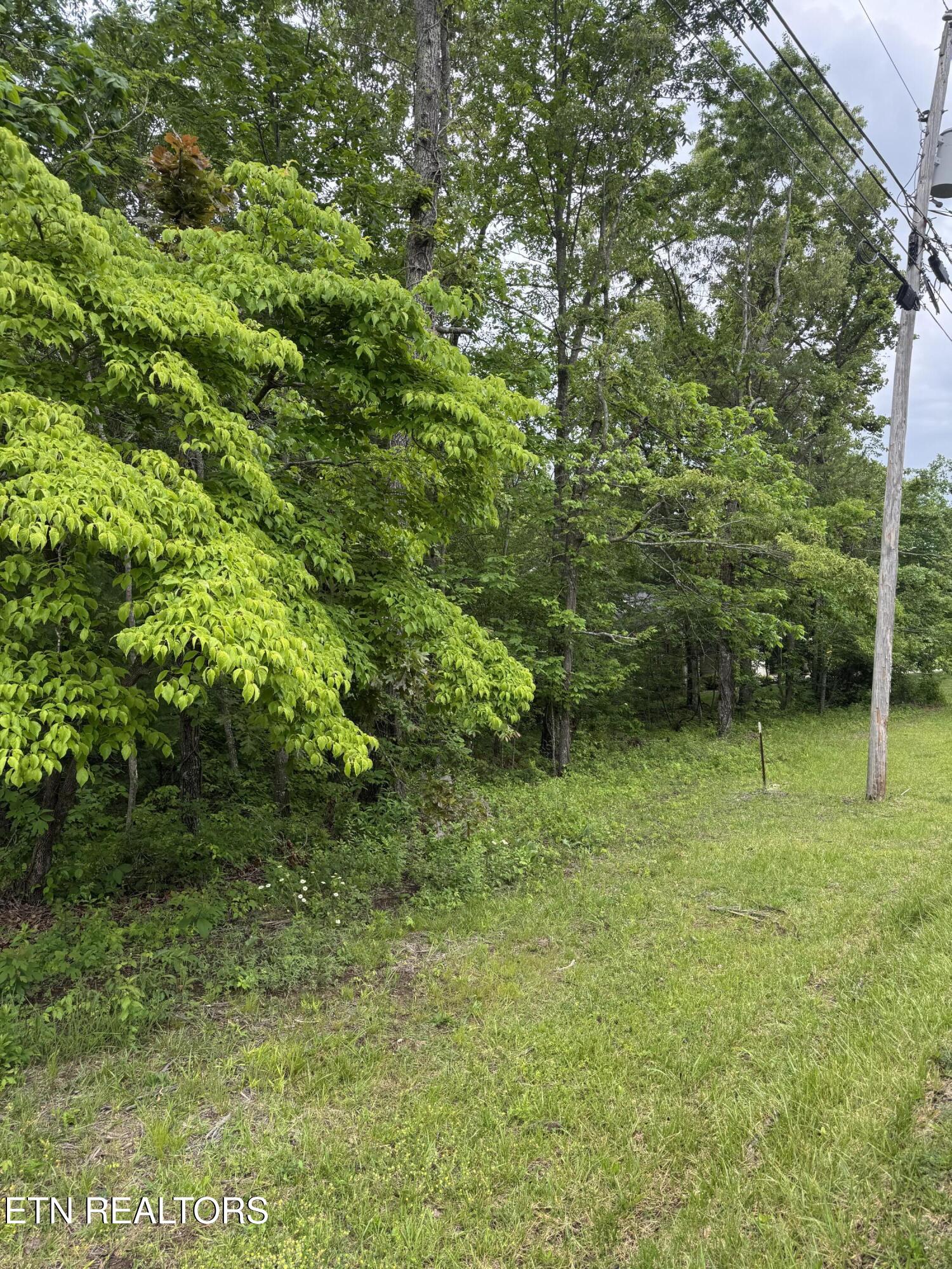121 Windsor Road Crossville, TN 38558 - Photo 2 of 4 121 Windaor
