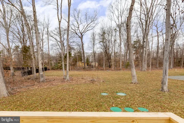 a view of yard